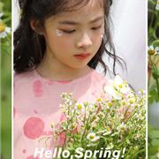 ColorPen彩色笔 | Hello，Spring!